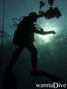 scuba diving photo