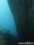 scuba diving photo
