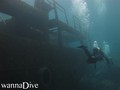 scuba diving photo
