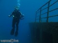 scuba diving photo