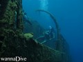 scuba diving photo