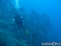 scuba diving photo