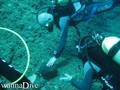 scuba diving photo
