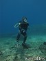 scuba diving photo