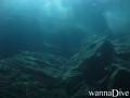 scuba diving photo