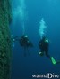 scuba diving photo