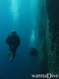 scuba diving photo
