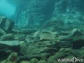scuba diving photo