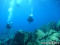 scuba diving photo