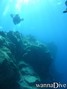 scuba diving photo