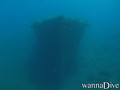 scuba diving photo