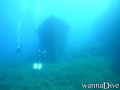 scuba diving photo