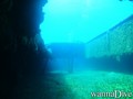 scuba diving photo