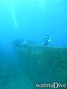 scuba diving photo