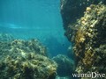 scuba diving photo