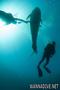 scuba diving photo