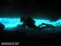 scuba diving photo