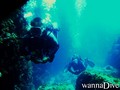 scuba diving photo