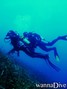 scuba diving photo