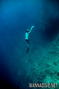 scuba diving photo