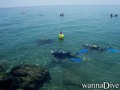 scuba diving photo