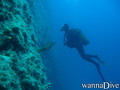 scuba diving photo