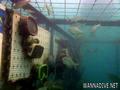 scuba diving photo