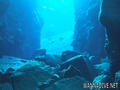 scuba diving photo