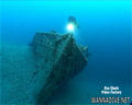 scuba diving photo