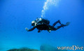 scuba diving photo