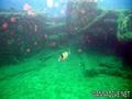 scuba diving photo