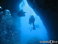 scuba diving photo