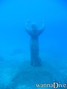 scuba diving photo