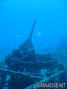 scuba diving photo