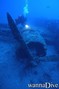 scuba diving photo