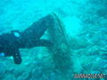 scuba diving photo