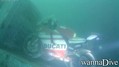 scuba diving photo