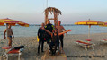 scuba diving photo