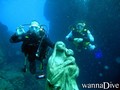 scuba diving photo