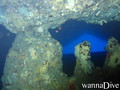 scuba diving photo