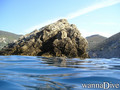 scuba diving photo