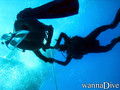 scuba diving photo