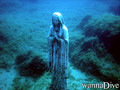scuba diving photo