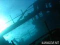 scuba diving photo