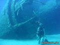 scuba diving photo