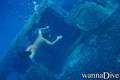 scuba diving photo