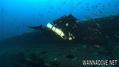 scuba diving photo
