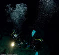 scuba diving photo