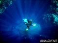 scuba diving photo