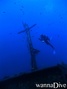 scuba diving photo